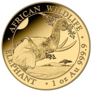 2023 Moneta d'Oro da 1oz con Elefante Somalo