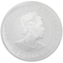 Koala australiana d'Argento 2020 1kg