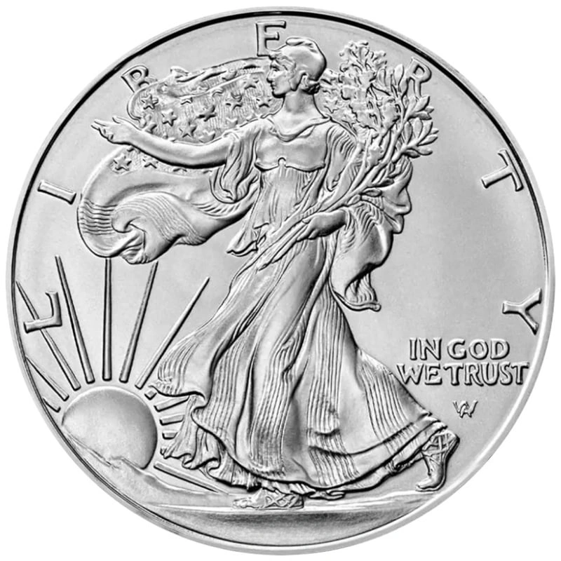 Nostra Scelta Eagle Americana d'Argento 1oz