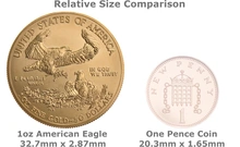 Nostra Scelta Eagle Americana d'oro 1oz
