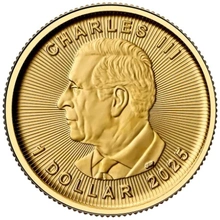 2025 Moneta d'Oro Maple Canadese 1/20 oz