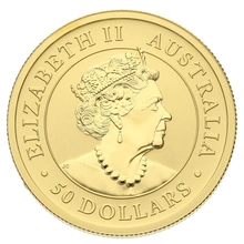 2019 Canguro Nugget Australiana d'Oro 1/2oz