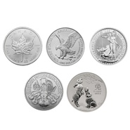 Set da monete d'argento