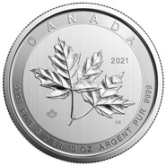Moneta d'Argento 10oz 2021 - Magnificent Maple