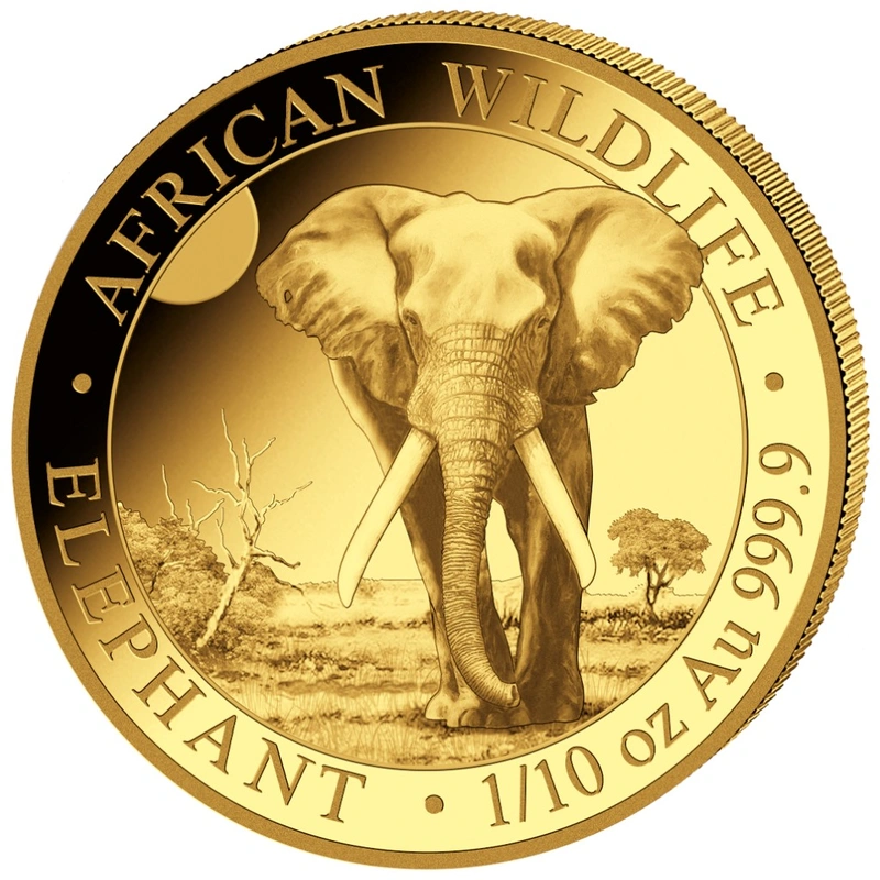 2025 Moneta d'Oro 1/10oz con Elefante Somalo