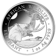 2023 Moneta d'Argento 1oz con Elefante Somalo