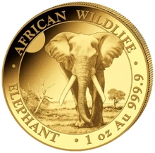 2025 Moneta d'Oro 1oz con Elefante Somalo