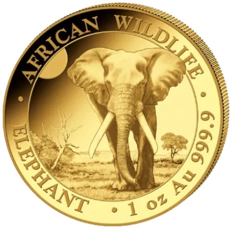 2025 Moneta d'Oro 1oz con Elefante Somalo