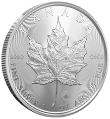 Maple Canadese
