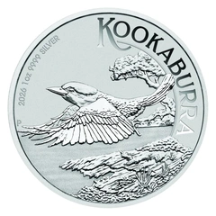 Australiano Kookaburra