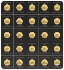 MapleGram25 Oro 2022
