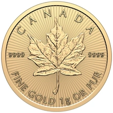 2026 MapleGram 25 monete d'oro da 1 g