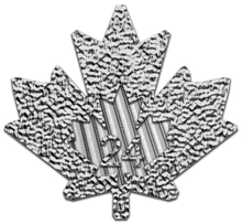 2024 Maple Canadese d'argento 1oz