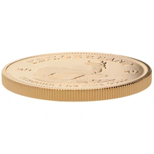 2020 1oz Krugerrand d'Oro