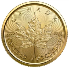 2023 Maple d'Oro 1/10oz