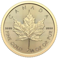 2024 Maple d'Oro 1/4oz