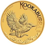 Moneta d'oro da 1/10 once Kookaburra australiano del 2024