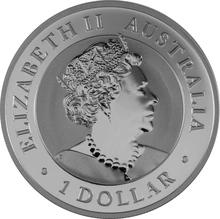 Moneta d'argento 2022 Vombato Australiano 1oz