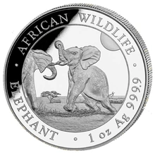 2024 Moneta d'Argento 1oz con Elefante Somalo