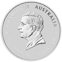 2025 1oz Moneta d'Argento Anno del Serpente Perth Mint