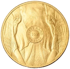 2026 Elefante Moneta d'Oro 1oz Serie Big Five