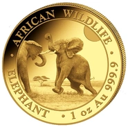 2024 Moneta d'Oro 1oz con Elefante Somalo