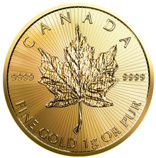 2023 MAPLEGRAM Oro 25 X 1 grammo