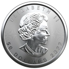 2022 Maple Canadese di Platino 1oz