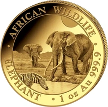 2026 Moneta d'Oro 1oz con Elefante Somalo