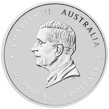 2025 5oz Moneta d'Argento Anno del Serpente Perth Mint