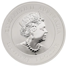 Anno del Coniglio d'argento 2023 1oz - Perth Mint