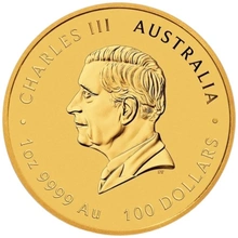 2025 1oz Moneta d'Oro Anno del Serpente Perth Mint