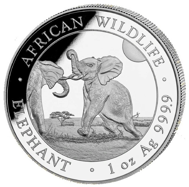 2024 Moneta d'Argento 1oz con Elefante Somalo