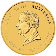 2025 2oz Moneta d'Oro Anno del Serpente Perth Mint