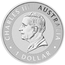 2025 Canguro Nugget Australiana d'Argento 1oz