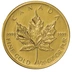 Maple Canadese d'Oro