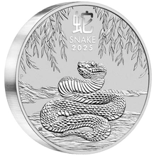 2025 1kg Moneta d'Argento Anno del Serpente Perth Mint