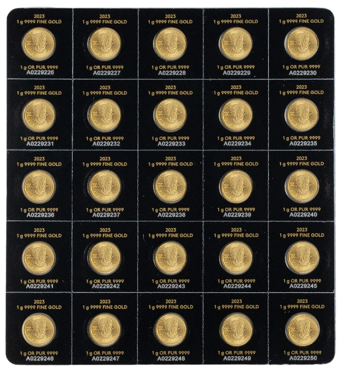 2023 MAPLEGRAM Oro 25 X 1 grammo