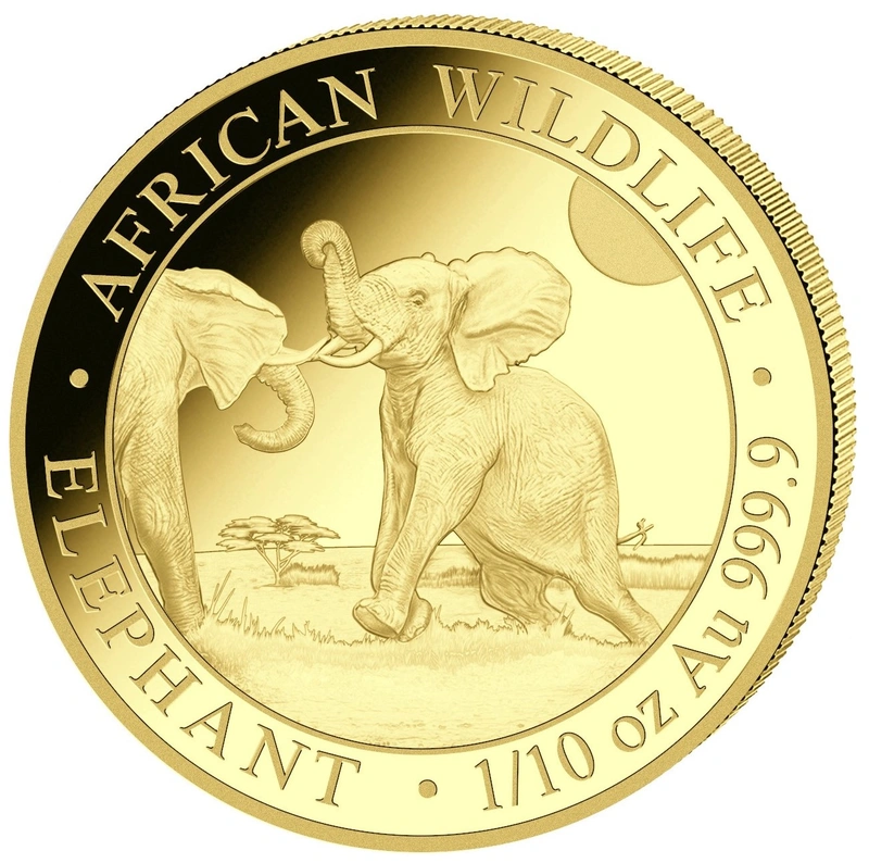 2024 Moneta d'Oro 1/10oz con Elefante Somalo