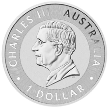 2024 Moneta d'argento da 1 litro di canguro australiano