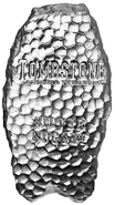 Pepita d'argento da 5 oz di Bar Scottsdale Tombstone