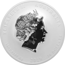 Anno del Maiale 10oz d'Argento 2019 - Perth Mint