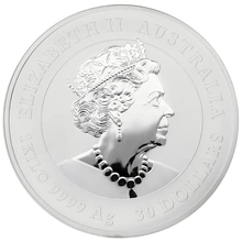 Anno del Topo d'Argento 2020 1 Kilo - Perth Mint