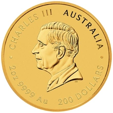 Moneta d'oro 2026 Anno del Cavallo 2 oz Perth Mint Serie Lunare Australiana